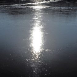 Fisherman Dreams DI 釣果