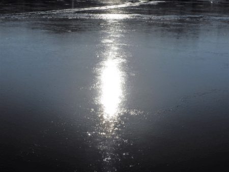 Fisherman Dreams DI 釣果