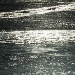 Fisherman Dreams DI 釣果