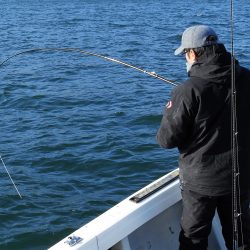 Fisherman Dreams DI 釣果