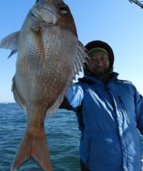 Fisherman Dreams DI 釣果