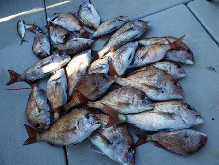 Fisherman Dreams DI 釣果