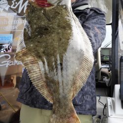 Fisherman Dreams DI 釣果