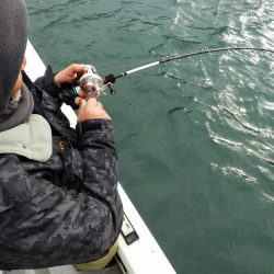 Fisherman Dreams DI 釣果