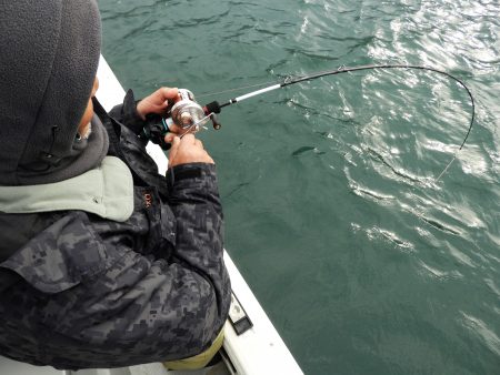 Fisherman Dreams DI 釣果