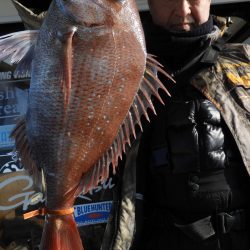 Fisherman Dreams DI 釣果