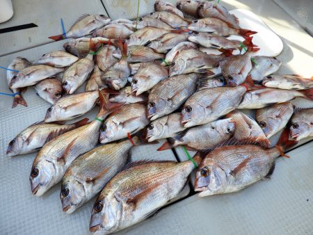 Fisherman Dreams DI 釣…