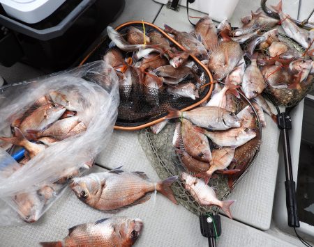 Fisherman Dreams DI 釣果