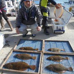 大進丸（愛知） 釣果