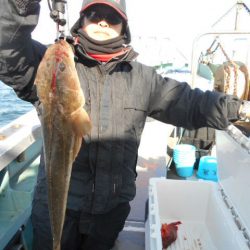 大進丸（愛知） 釣果