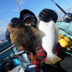 大進丸（愛知） 釣果