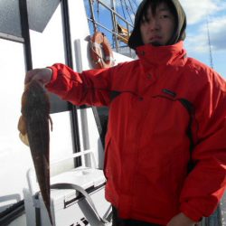 大進丸（愛知） 釣果