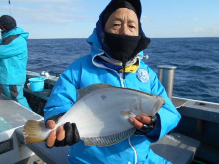 大進丸（愛知） 釣果