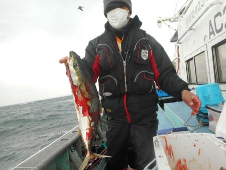 大進丸（愛知） 釣果