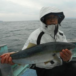 大進丸（愛知） 釣果