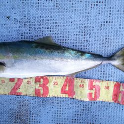 第二常豊丸 釣果