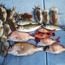 第二常豊丸 釣果