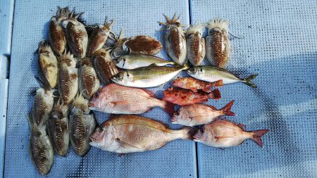 第二常豊丸 釣果