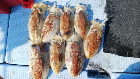 第二常豊丸 釣果