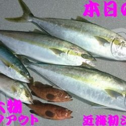 幸和丸 釣果