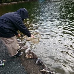 フィッシングエリア帝釈 釣果