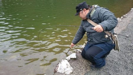 フィッシングエリア帝釈 釣果