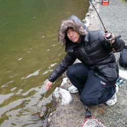 フィッシングエリア帝釈 釣果