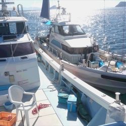 ＨＡＲＵＫＡ丸　はるかまる 釣果