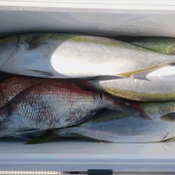 ＨＡＲＵＫＡ丸　はるかまる 釣果