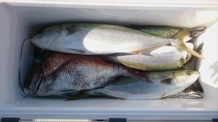 ＨＡＲＵＫＡ丸　はるかまる 釣果