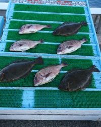和歌山マリーナシティ釣り堀 釣果