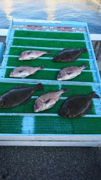 和歌山マリーナシティ釣り堀 釣果