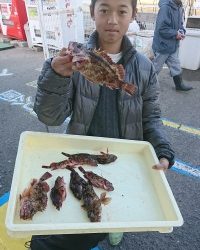 和歌山マリーナシティ釣り公園 釣果