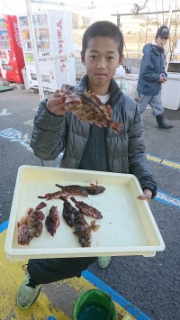 和歌山マリーナシティ釣り公園 釣果