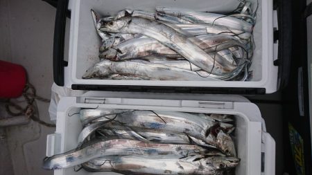 武士(SAMURAI) 釣果