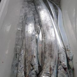 武士(SAMURAI) 釣果