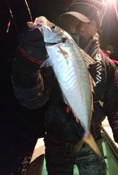 愛海丸 釣果