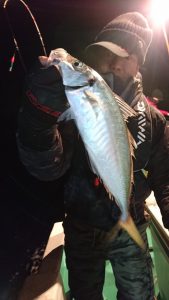 愛海丸 釣果