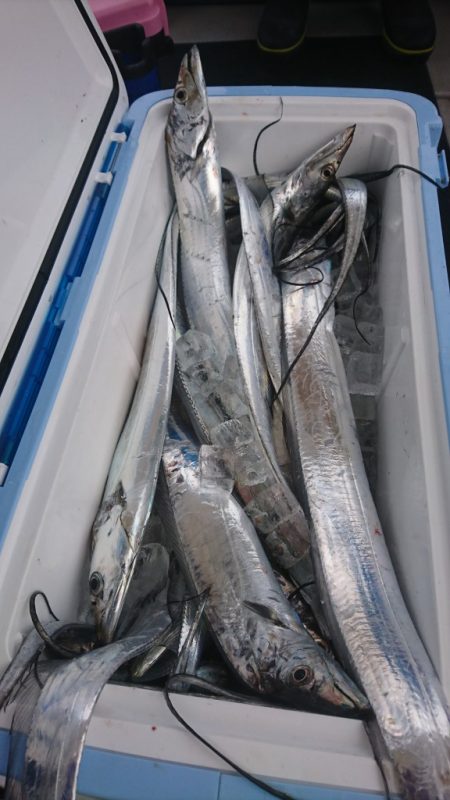 武士(SAMURAI) 釣果