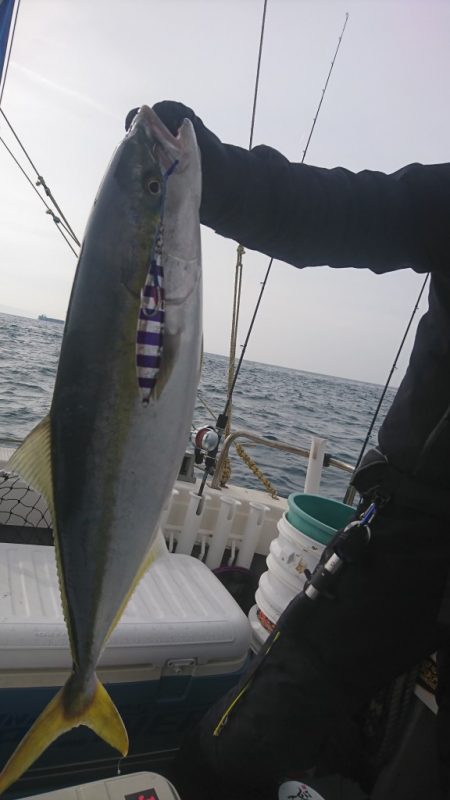 武士(SAMURAI) 釣果