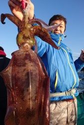 愛海丸 釣果