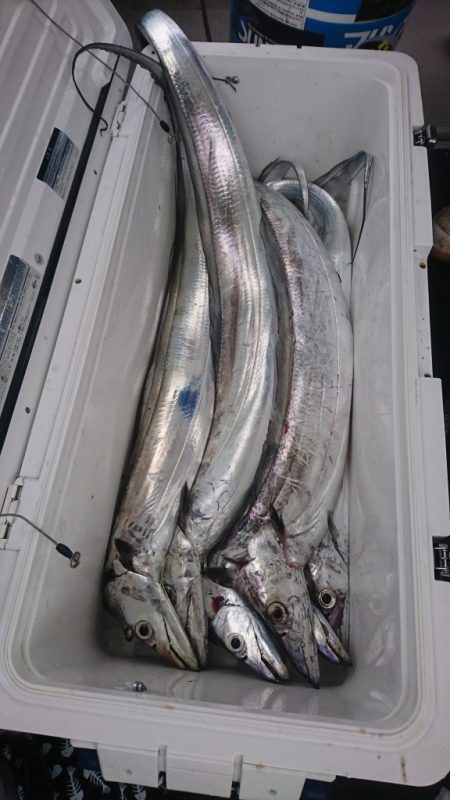 武士(SAMURAI) 釣果