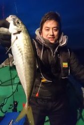 愛海丸 釣果