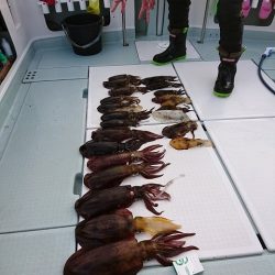 フィッシングボートACE（エース） 釣果