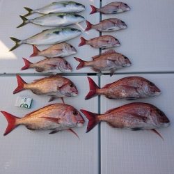 フィッシングボートACE(エース) 釣果