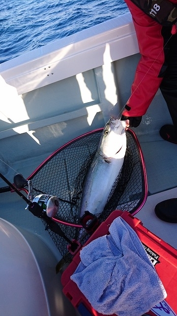 フィッシングボートACE（エース） 釣果