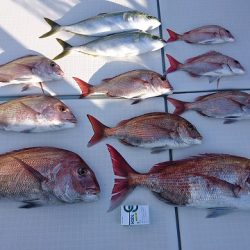 フィッシングボートACE（エース） 釣果