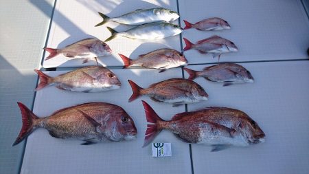 フィッシングボートACE（エース） 釣果