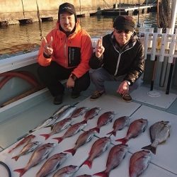 フィッシングボートACE(エース) 釣果