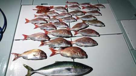 フィッシングボートACE（エース） 釣果